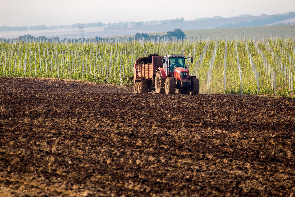 Deutschlands Dünger-Import aus Russland auf das 3,3fache gestiegen