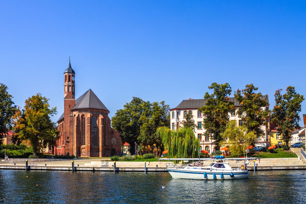 Umfrage: AfD mit Abstand stärkste Kraft in Brandenburg