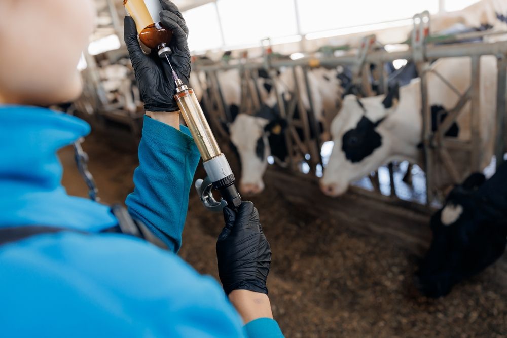 Bedenken gegen den Einsatz von mRNA-Impfstoffen bei Rindern