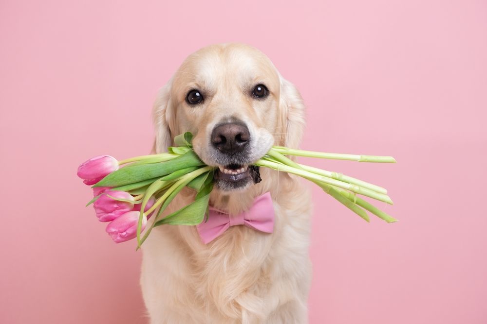 Heute ist der 8.März, Frauentag! Alles Liebe auch von mir.