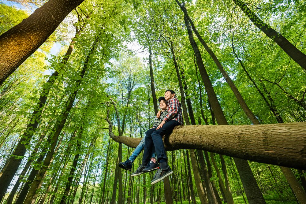 Weltglücksbericht: Finnen erneut am glücklichsten – Deutsche deutlich unzufriedener