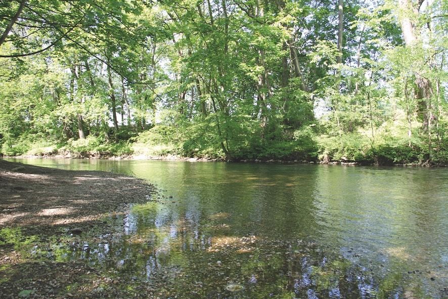 Naturschutz unerwünscht